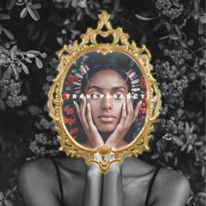 Transparency: The Podcast