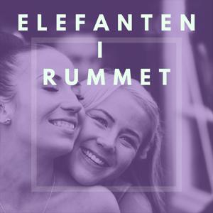 Elefanten i rummet