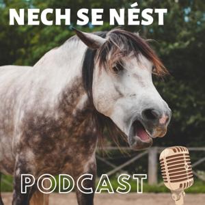 Nech se nést aneb o koních a lidech by Kristýna Šmídová