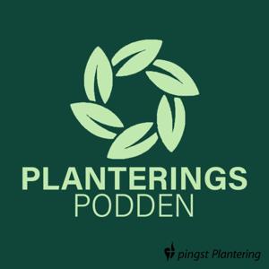 Planteringspodden