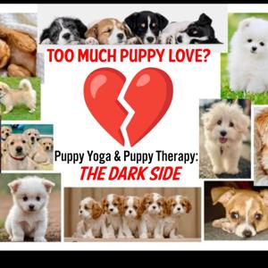 Too Much Puppy Love, Puppy Yoga and Puppy Therapy: The Dark Side