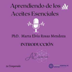 Aprendiendo de los aceites esenciales