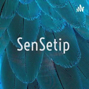 SenSetip