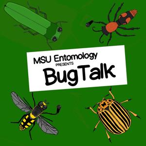 Bug Talk