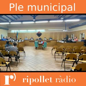 Retransmissió del Ple Municipal de Ripollet