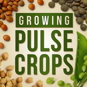 Growing Pulse Crops by Pulse Crops Working Group