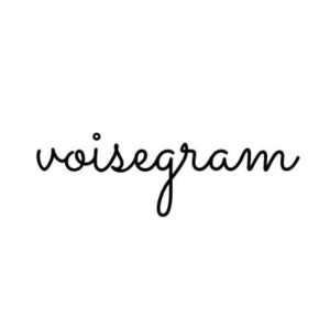 Voisegram