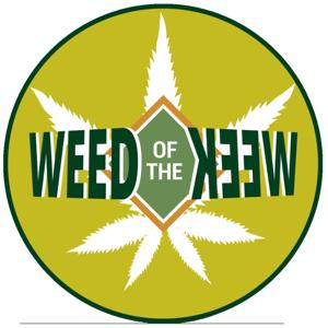 Weed of the Week