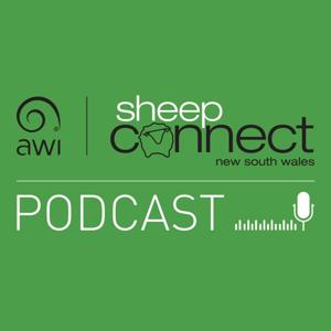 Sheep Connect NSW Podcast