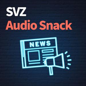 SVZ Audio Snack