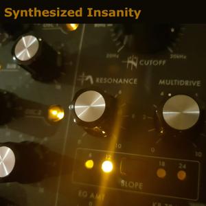 Synthesized Insanity