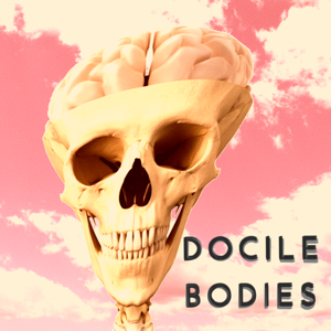 Docile Bodies