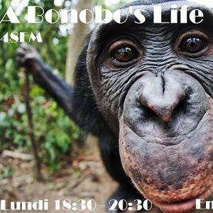 A Bonobos Life • 48FM