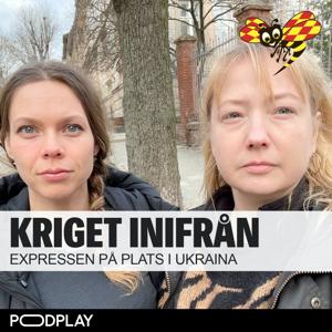 Kriget inifrån