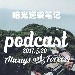 暗光逆袭笔记中国版