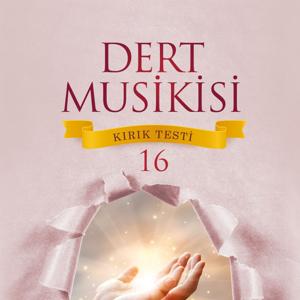 DERT MUSİKİSİ KIRIK TESTİ - 16