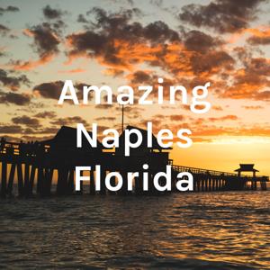 Amazing Naples Homes Florida