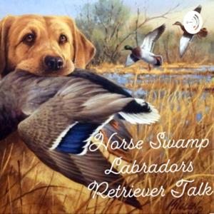 HSL Retriever Talk