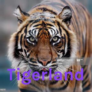 Tigerland