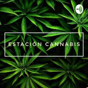 Estación Cannabis