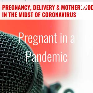 Pregnant in a Pandemic