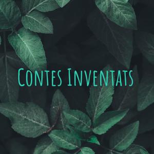 Contes Inventats