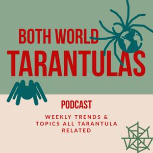 Both World Tarantulas