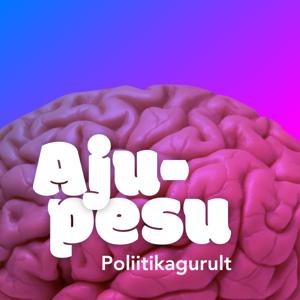 Ajupesu Poliitikagurult