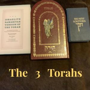 The 3 Torah's