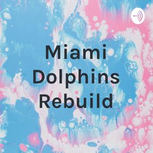 Miami Dolphins Rebuild