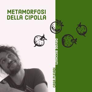 Metamorfosi della Cipolla