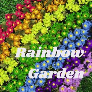 Rainbow Garden