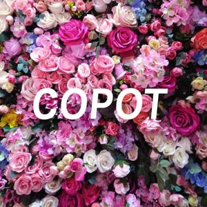 COPOT