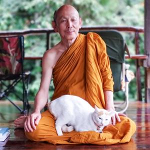 Luangpor Paisal Visalo‘s Podcast (ธรรมะ จาก หลวงพ่อไพศาล วิสาโล) by watpasukato