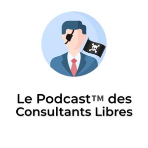 Consultant Libre