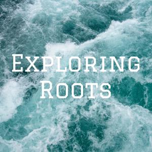 Exploring Roots