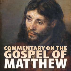 Commentary on the Gospel of Matthew