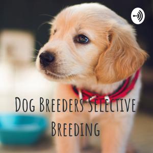 Dog Breeders Selective Breeding