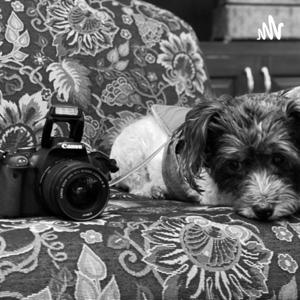 Just Enough Faith for a Daily Walk