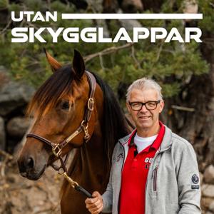 Utan Skygglappar