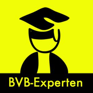 BVB-Experten