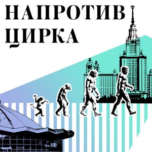 Напротив цирка