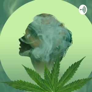 TheHotBox