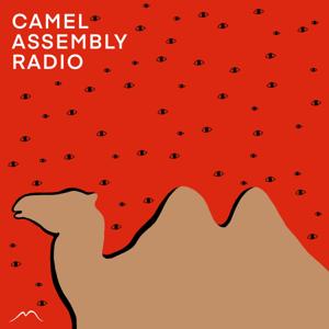 Camel Assembly Radio