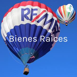 Bienes Raices: Educacion y Orientacion