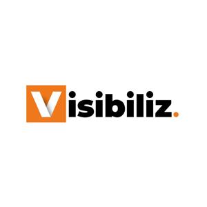 Visibiliz by Les Experts du Web