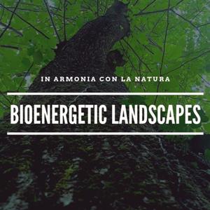 Bioenergetic Landscapes