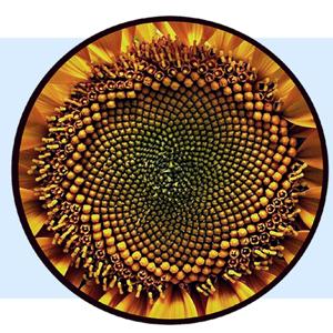 VagaMente: Brevi Meditazioni Mindfulness