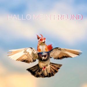 Hallo mein Freund