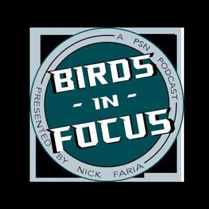 Birds in Focus